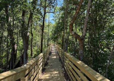 Trout Creek Boardwalk
