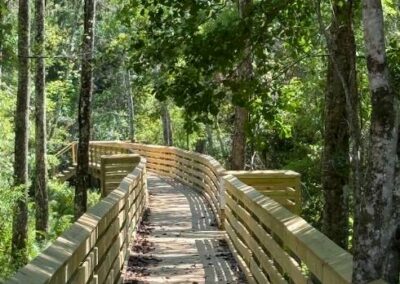 Trout Creek Boardwalk
