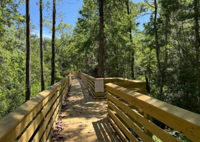 Trout Creek Boardwalk