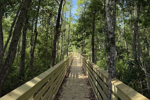 What Makes Trout Creek RV Park The Best Place To Stay Near Destin, Florida?